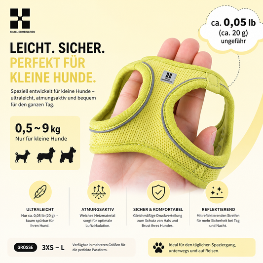 Premium Geschirr- & Leinen-Set für kleine Hunde