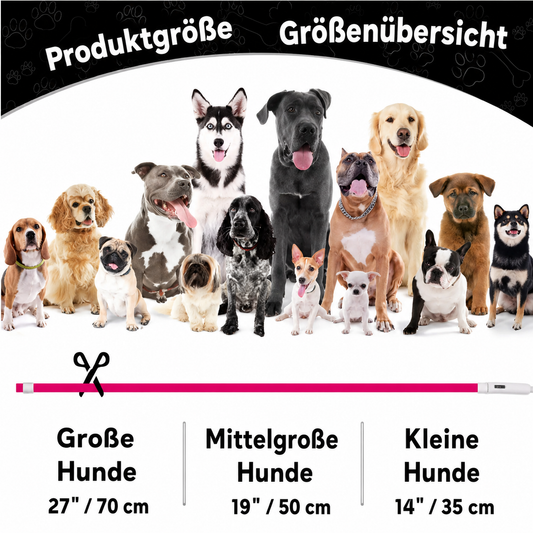 LED-Hundehalsband