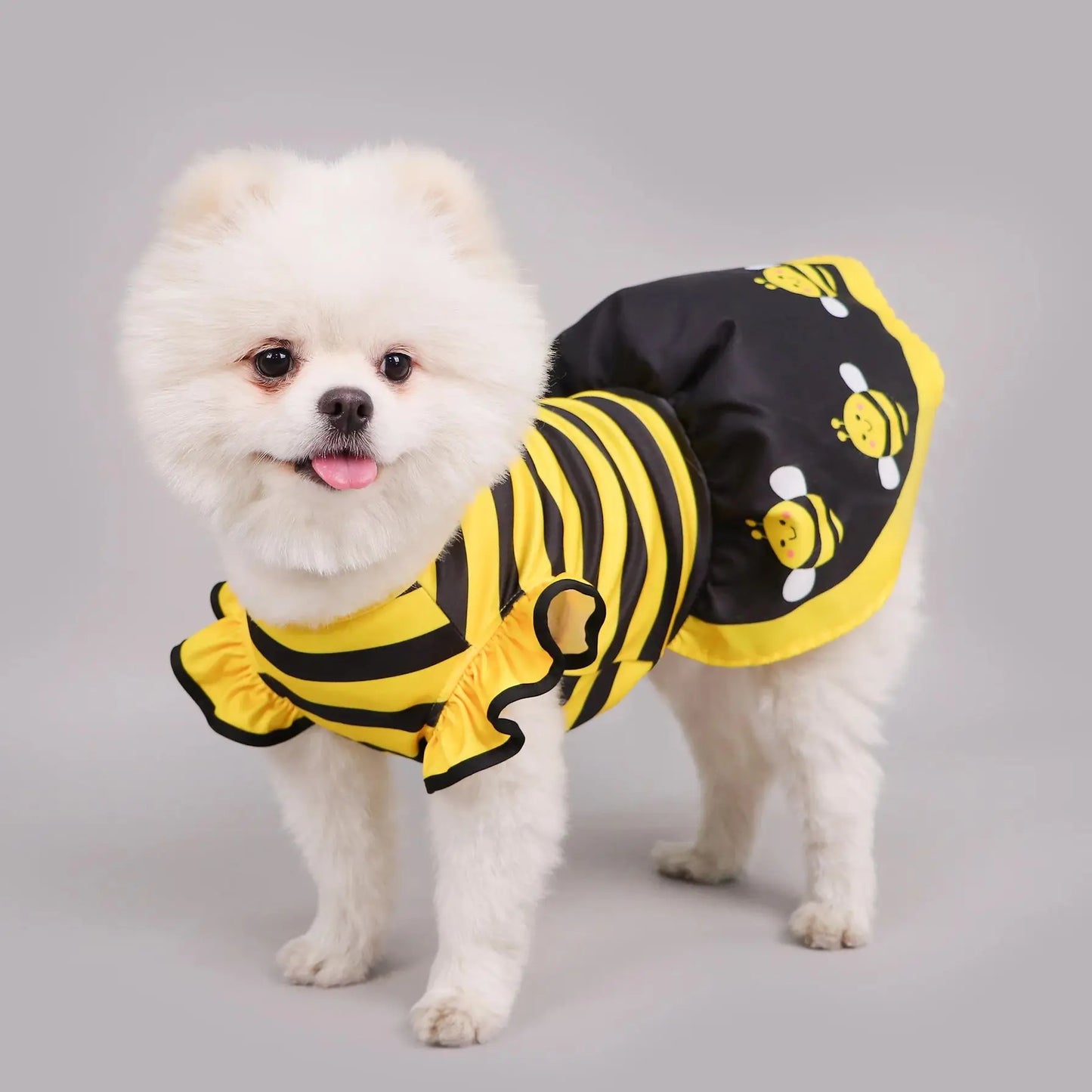 Bienenkleid für Hunde