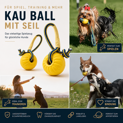 Hundeball mit Seil