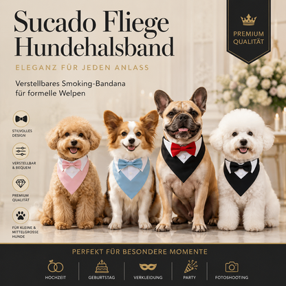 Smoking-Bandana für Hunde