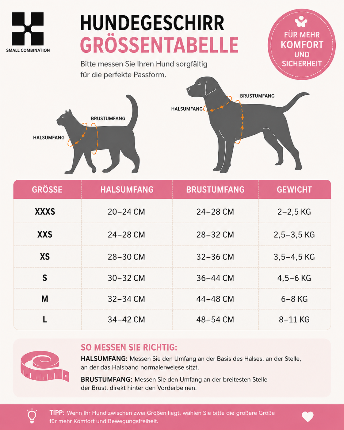Premium Geschirr- & Leinen-Set für kleine Hunde