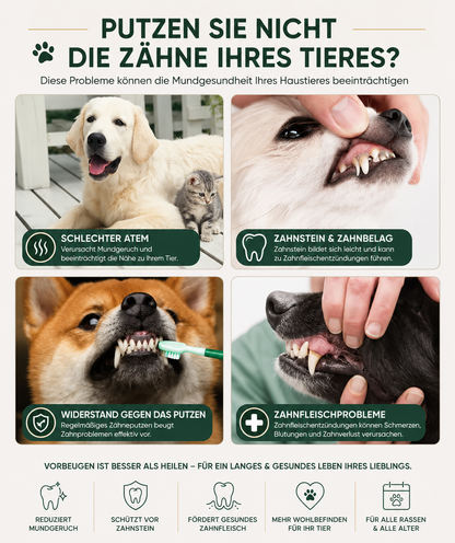 PremiumCare™ Dreiseitige Haustier-Zahnbürste – 360° Zahnpflege für Hunde & Katzen