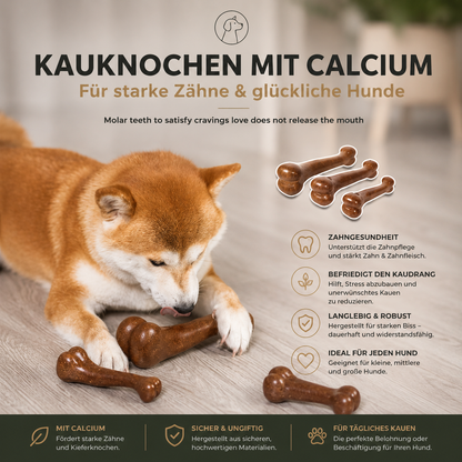 Dental-Pro-Kauknochen