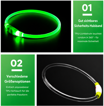 LED-Hundehalsband