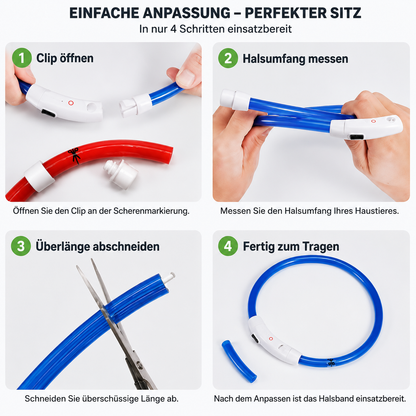 LED-Hundehalsband