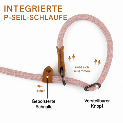 Premium Integrated P-Seil-Halsband für Hunde – Stylish, Sicher und Komfortabel