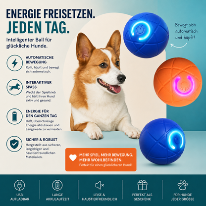 Intelligenter Haustierball Premium USB-C
