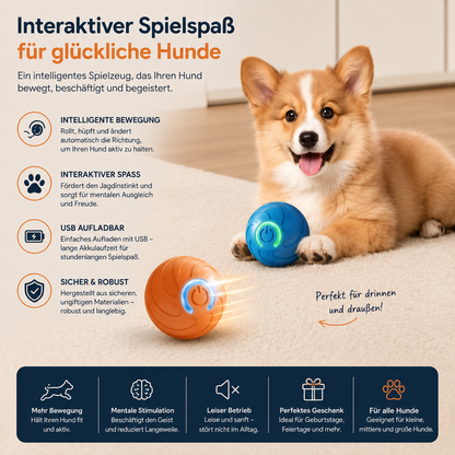 Intelligenter Haustierball Premium USB-C