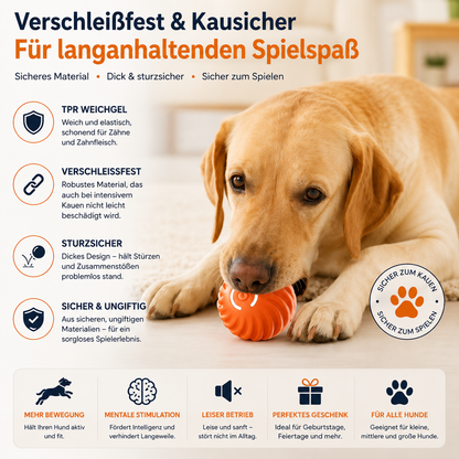Intelligenter Haustierball Premium USB-C