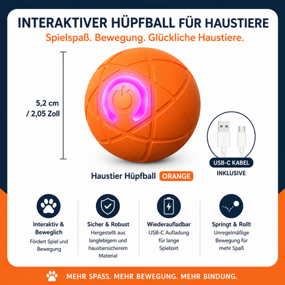 Intelligenter Haustierball Premium USB-C