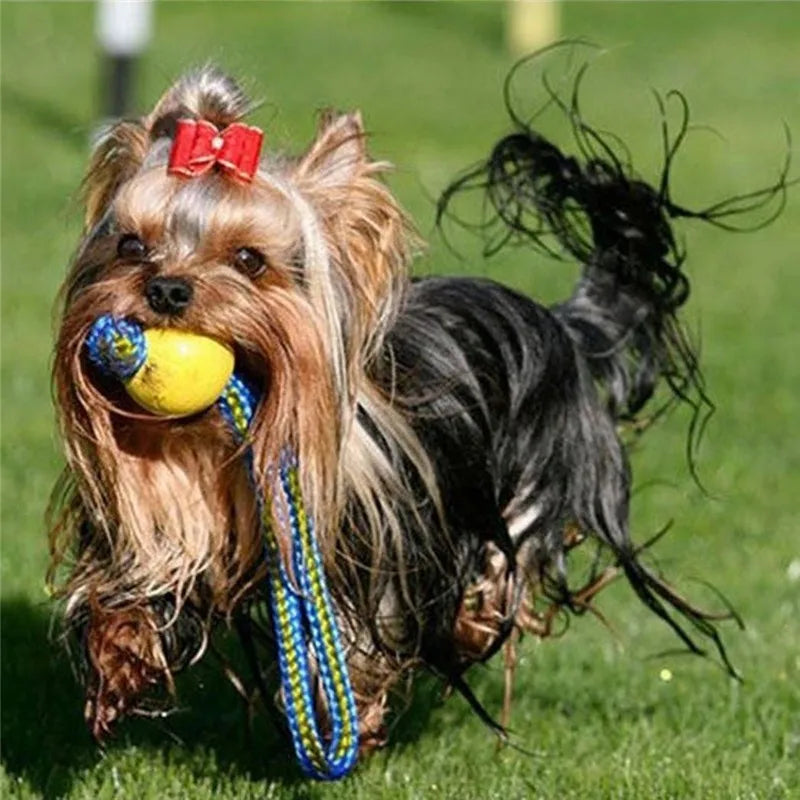 Hundeball mit Seil