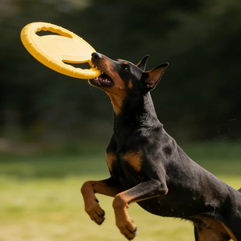 EVA Hundefrisbee Pro