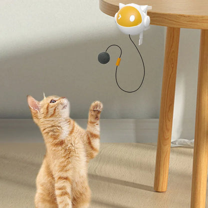 Interaktiver Katzenball mit Hebefunktion