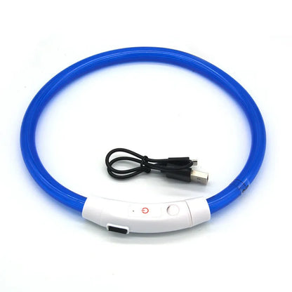 LED-Hundehalsband