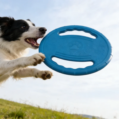EVA Hundefrisbee Pro