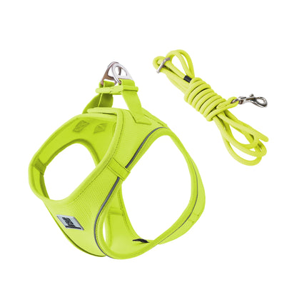 Premium Geschirr- & Leinen-Set für kleine Hunde