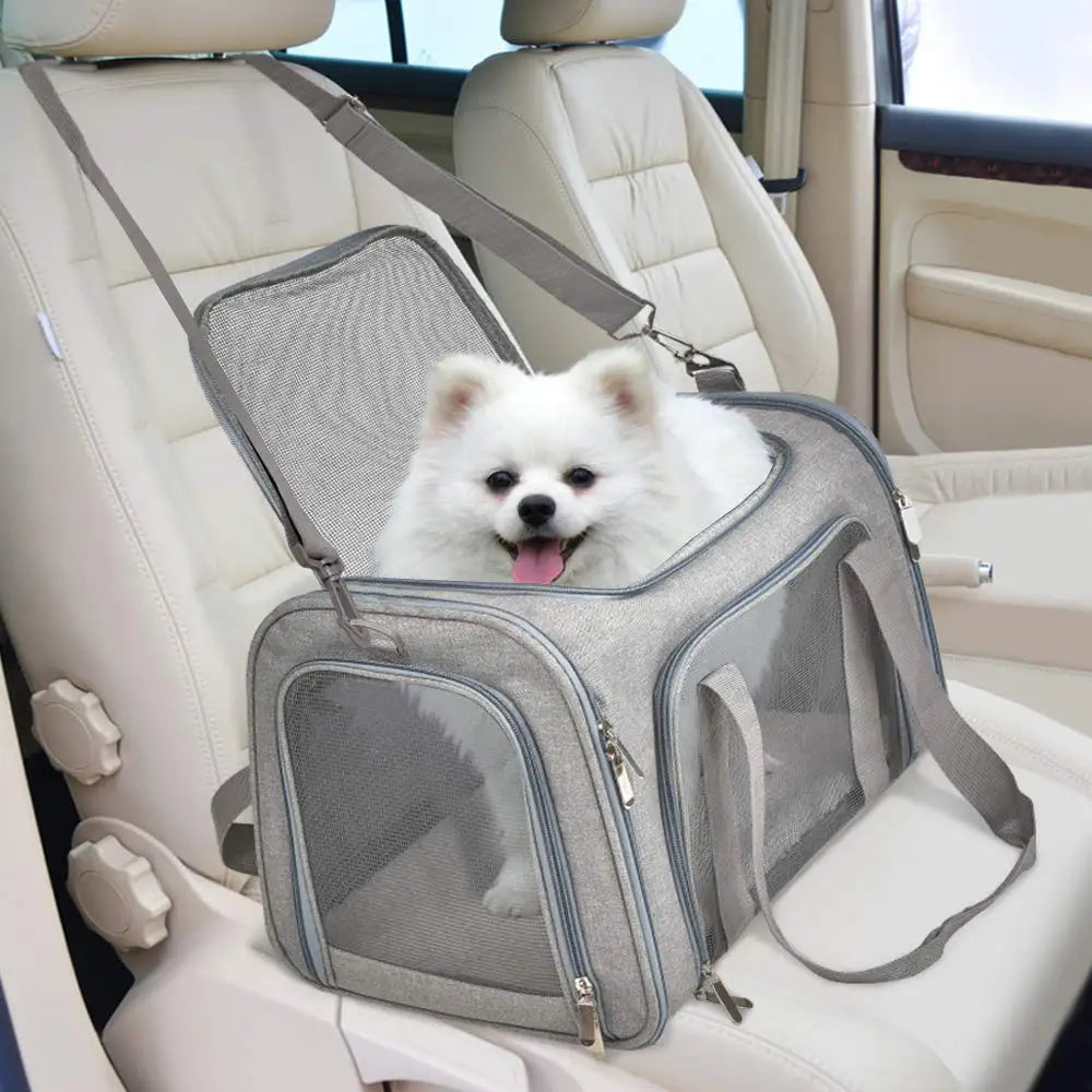 Premium Hundetragetasche für Hunde & Katzen