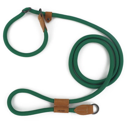 Premium Integrated P-Seil-Halsband für Hunde – Stylish, Sicher und Komfortabel