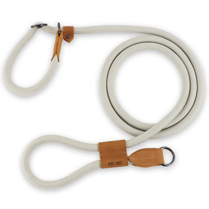 Premium Integrated P-Seil-Halsband für Hunde – Stylish, Sicher und Komfortabel