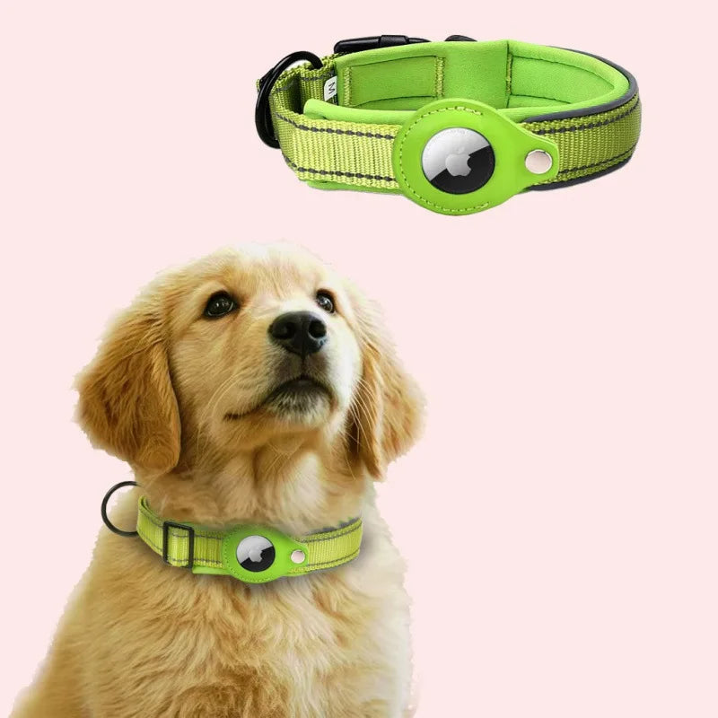 Premium AirTag Hundehalsband