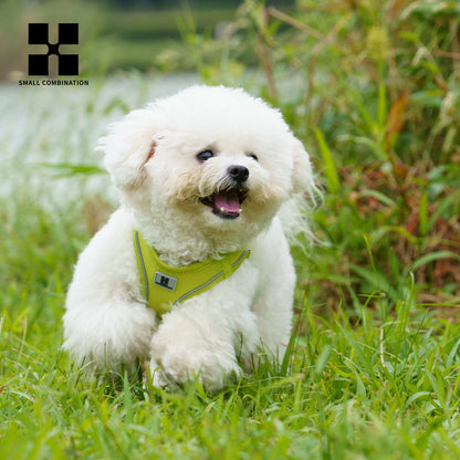 Premium Geschirr- & Leinen-Set für kleine Hunde