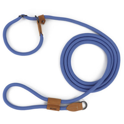 Premium Integrated P-Seil-Halsband für Hunde – Stylish, Sicher und Komfortabel