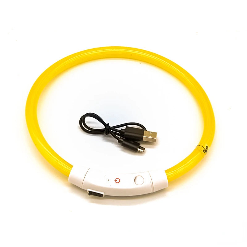 LED-Hundehalsband