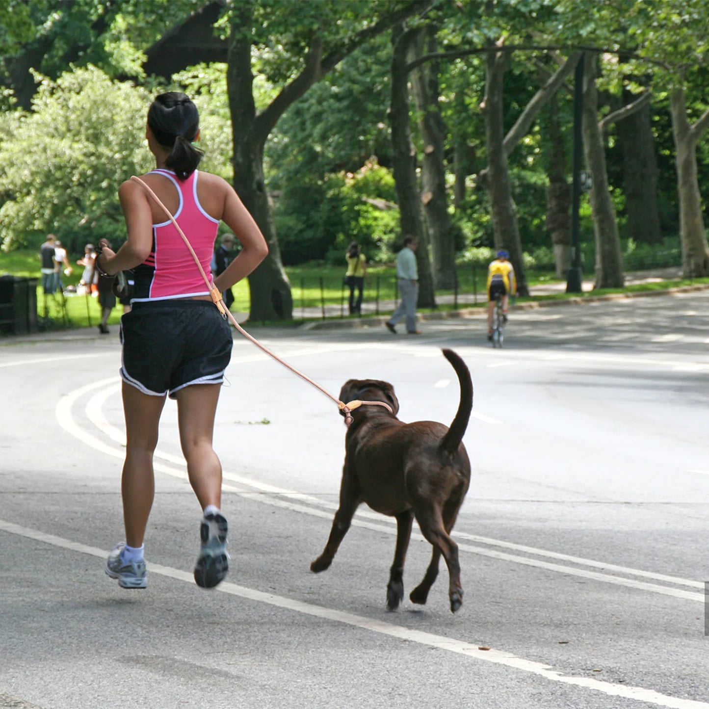 Premium Integrated P-Seil-Halsband für Hunde – Stylish, Sicher und Komfortabel