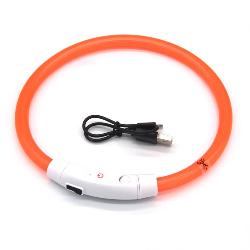 LED-Hundehalsband