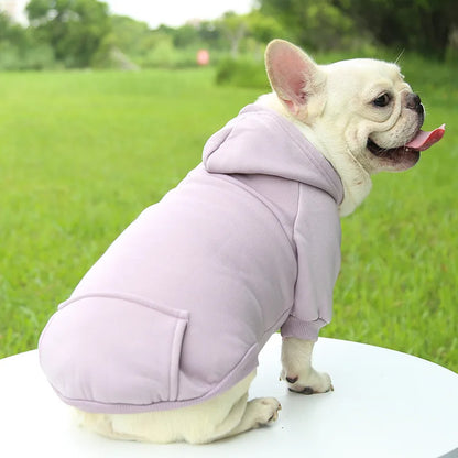 Warmer Hoodie für Hunde